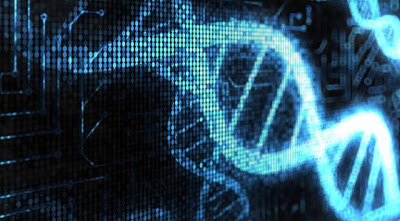 New Biological Computer Capable Of Controlling Genetic Codes