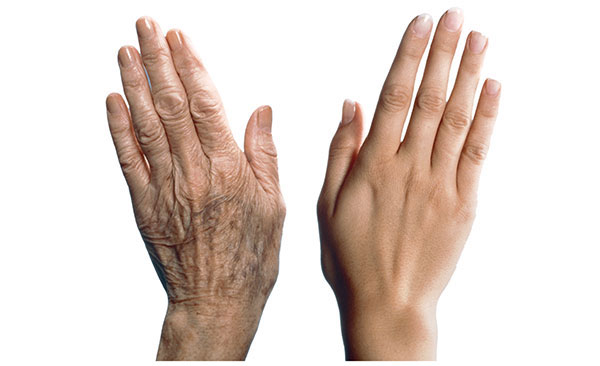 Aging Process Could Be Reversed With Newly Discovered Protein