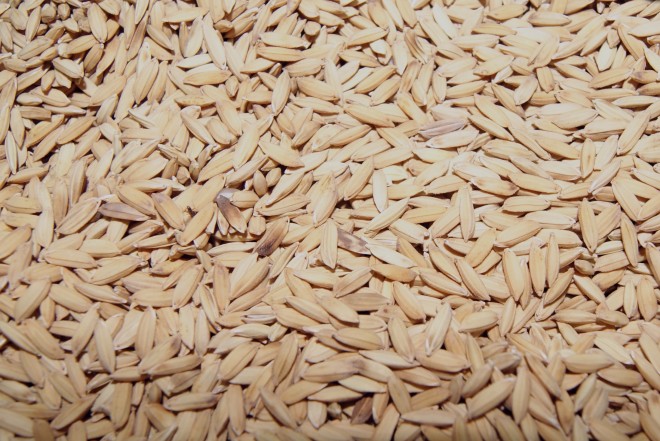 Lithium-Ion Batteries Will Run On Silicone From Rice Husks