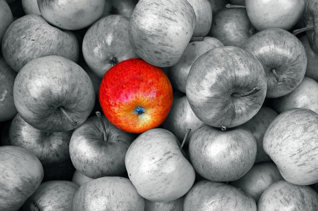 Lessons from Apple on Innovation