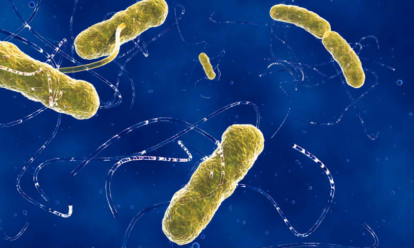 Using Smaller Molecules To Produce More Affordable Drugs