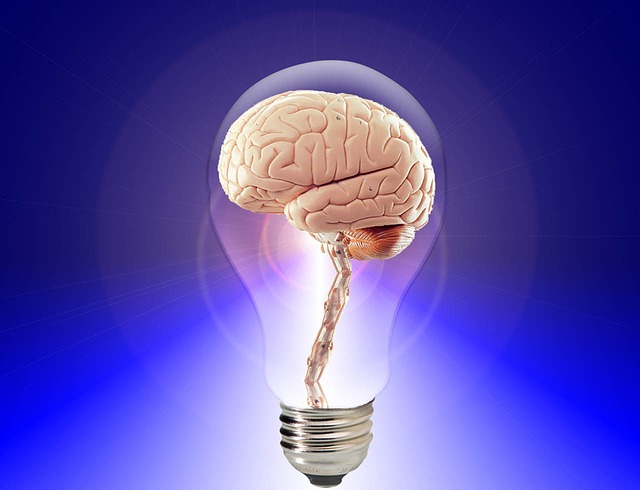 IT in the Age of Complexity