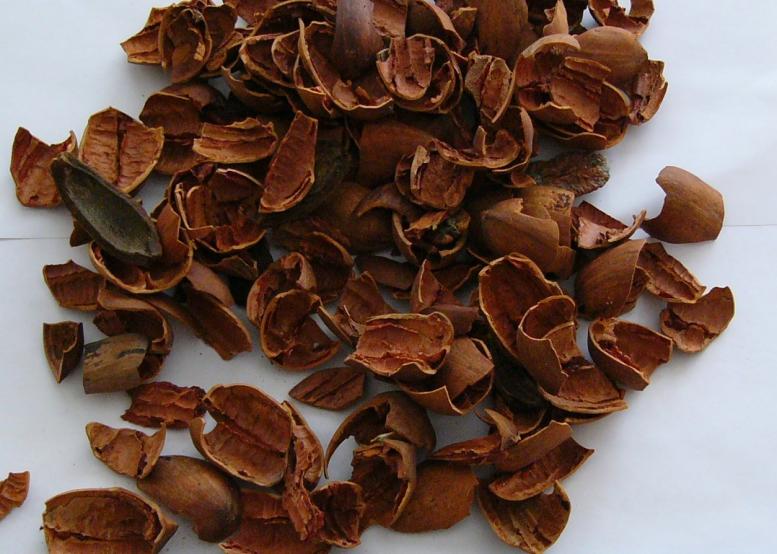 Organic Antimicrobial Protection For Meat From Pecan Shells