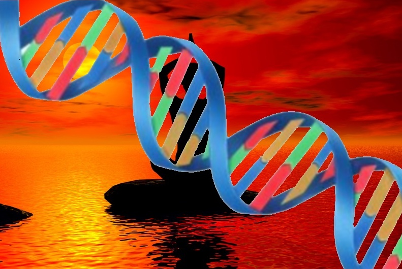 The power of mindfulness meditation in changing our genes