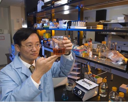 Researchers Develop Sugar-Based Battery