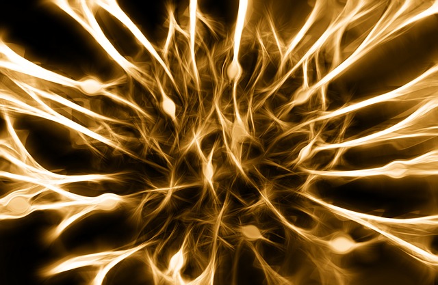 How the Collaboration of Top Research Institutions Will Speed Neuroscience Breakthroughs