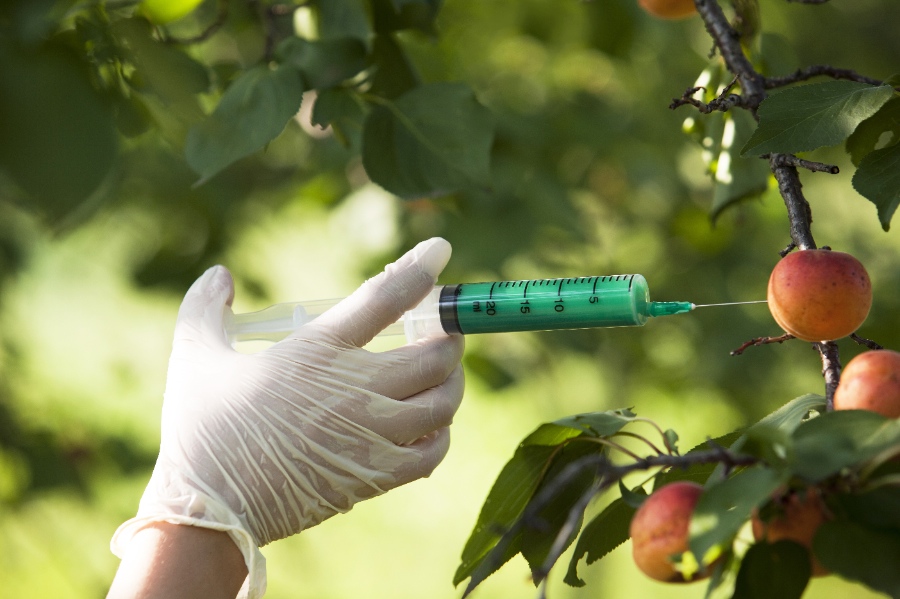 GMOs Facts vs. Myths