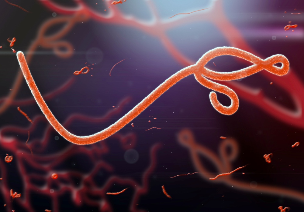 Ebola Treatment