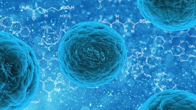 Preventing the Spread of Cancer