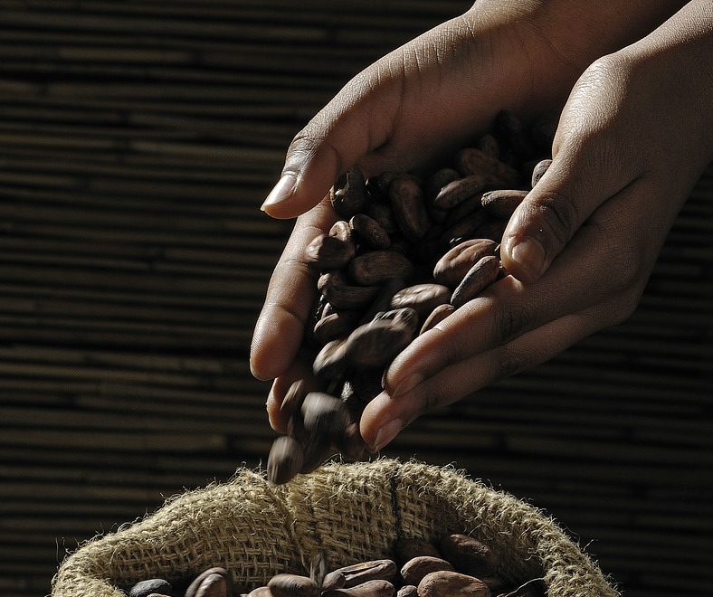 Cocoa extract as an allergy treatment of the esophagus