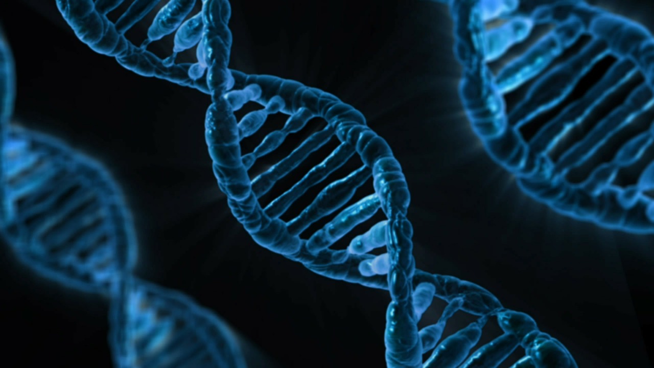 Nutrigenomics: Eat According to your Genes