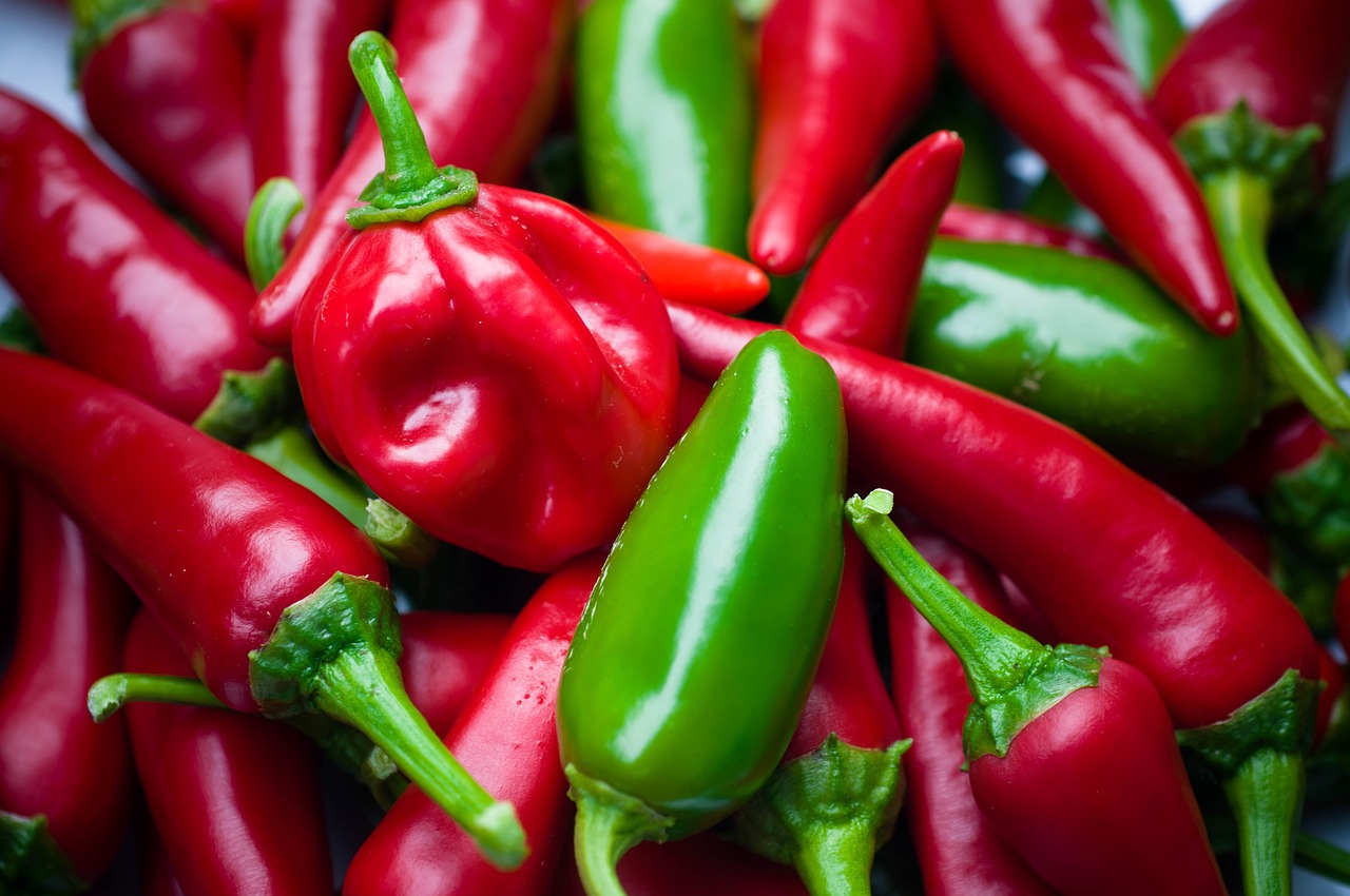 Hot Chili Peppers: A Possible New Cure for Obesity
