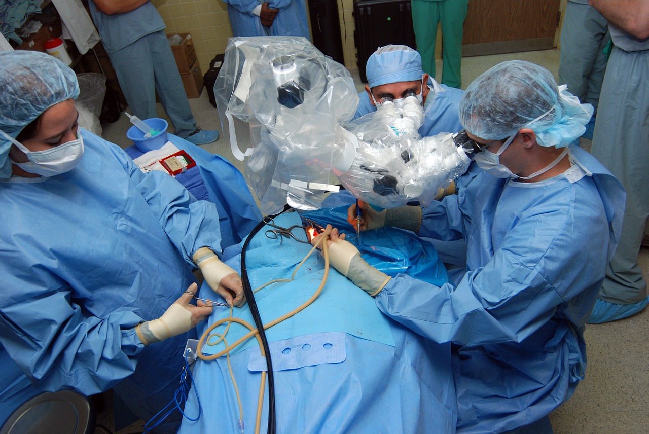 Navigating Sensitive Soft Tissues Using Robotically Steered Flexible Needles