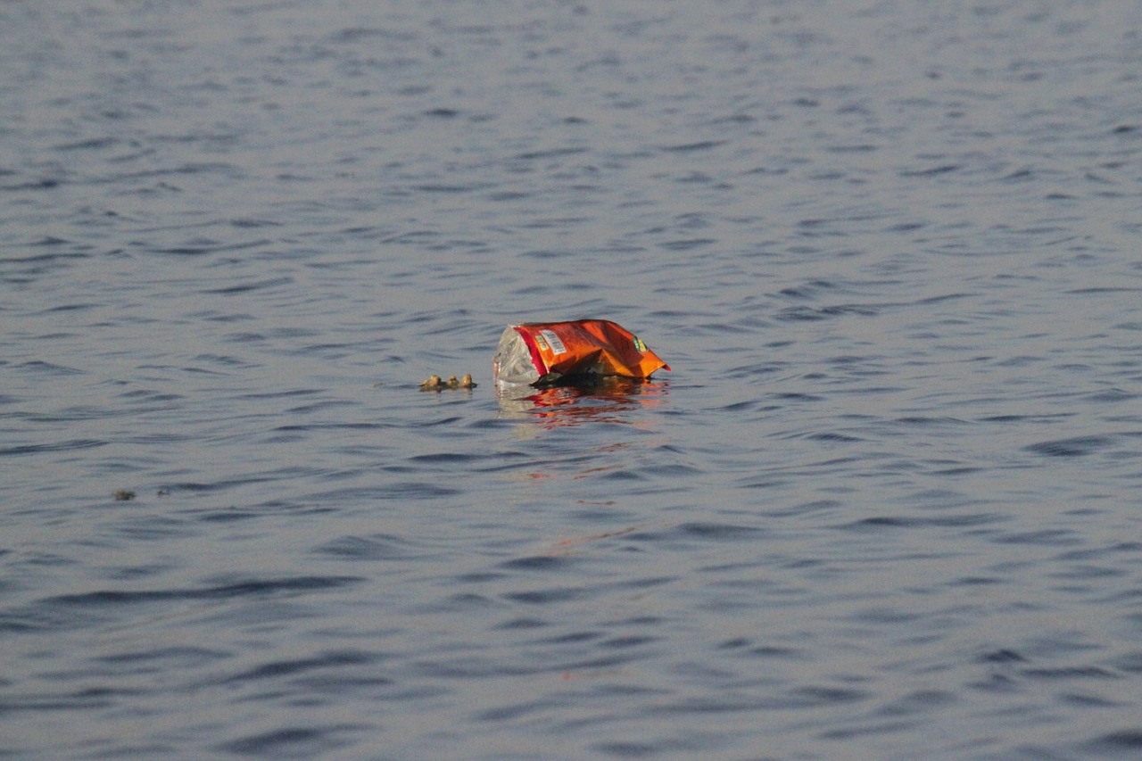 Scientists Discover Plastic-Eating Bacteria That Could Help Clean Oceans