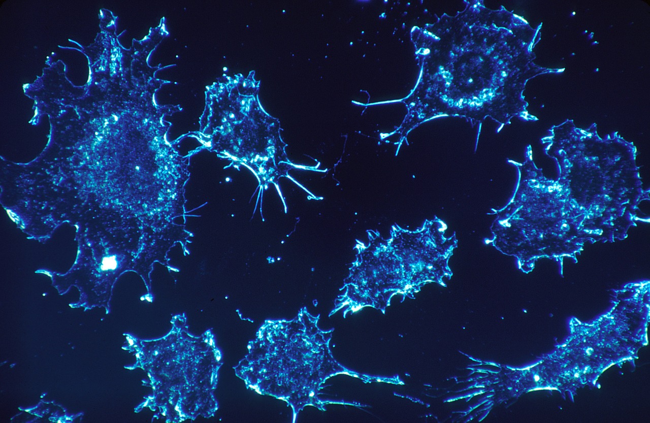 How Dressed-to-Impress Cancer Meds Can Penetrate Tumors Better Than Current Strategies