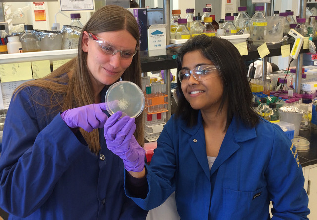 Berkeley Lab Scientists Brew Jet Fuel in One-Pot Recipe