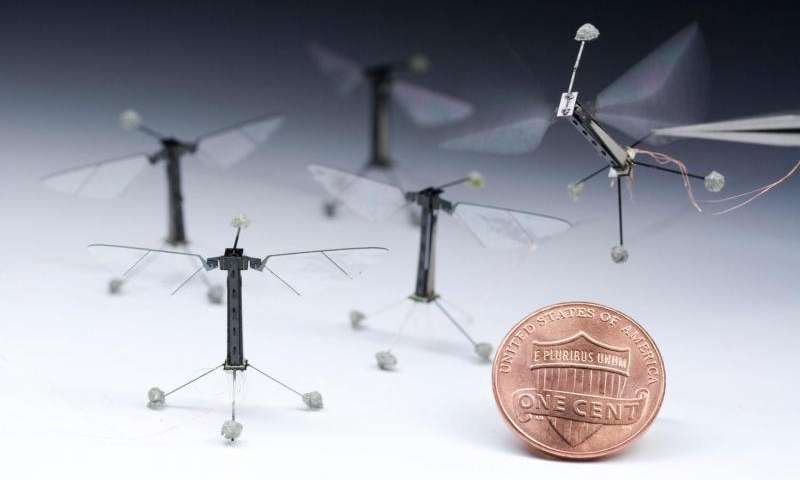 Flight of the RoboBee
