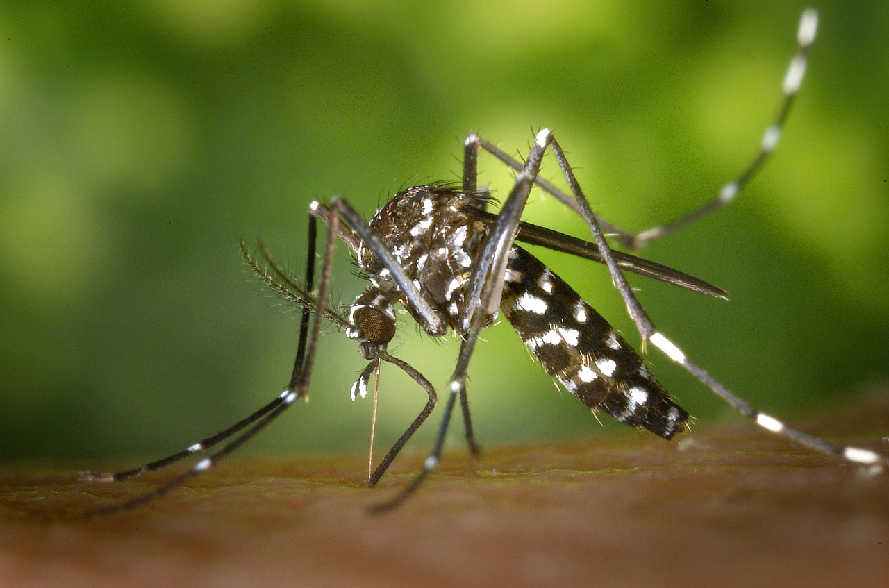Inovio Pharmaceuticals and GeneOne Life Science Receive Approval for First-in-Man Zika Vaccine Clinical Trial