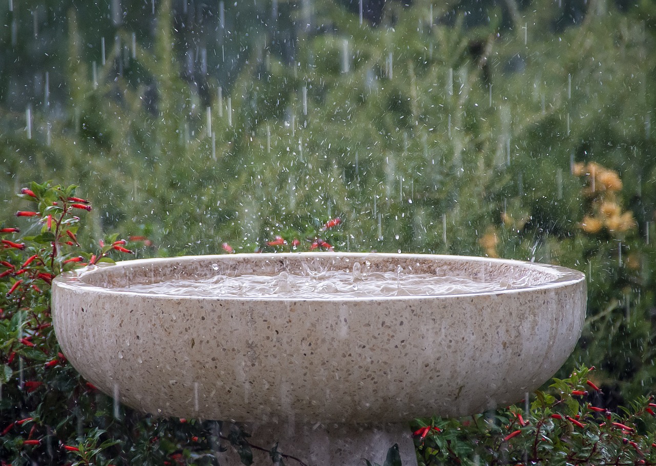 Mobile Telecommunication Network Signals Could Improve Rainfall Observation in East Africa