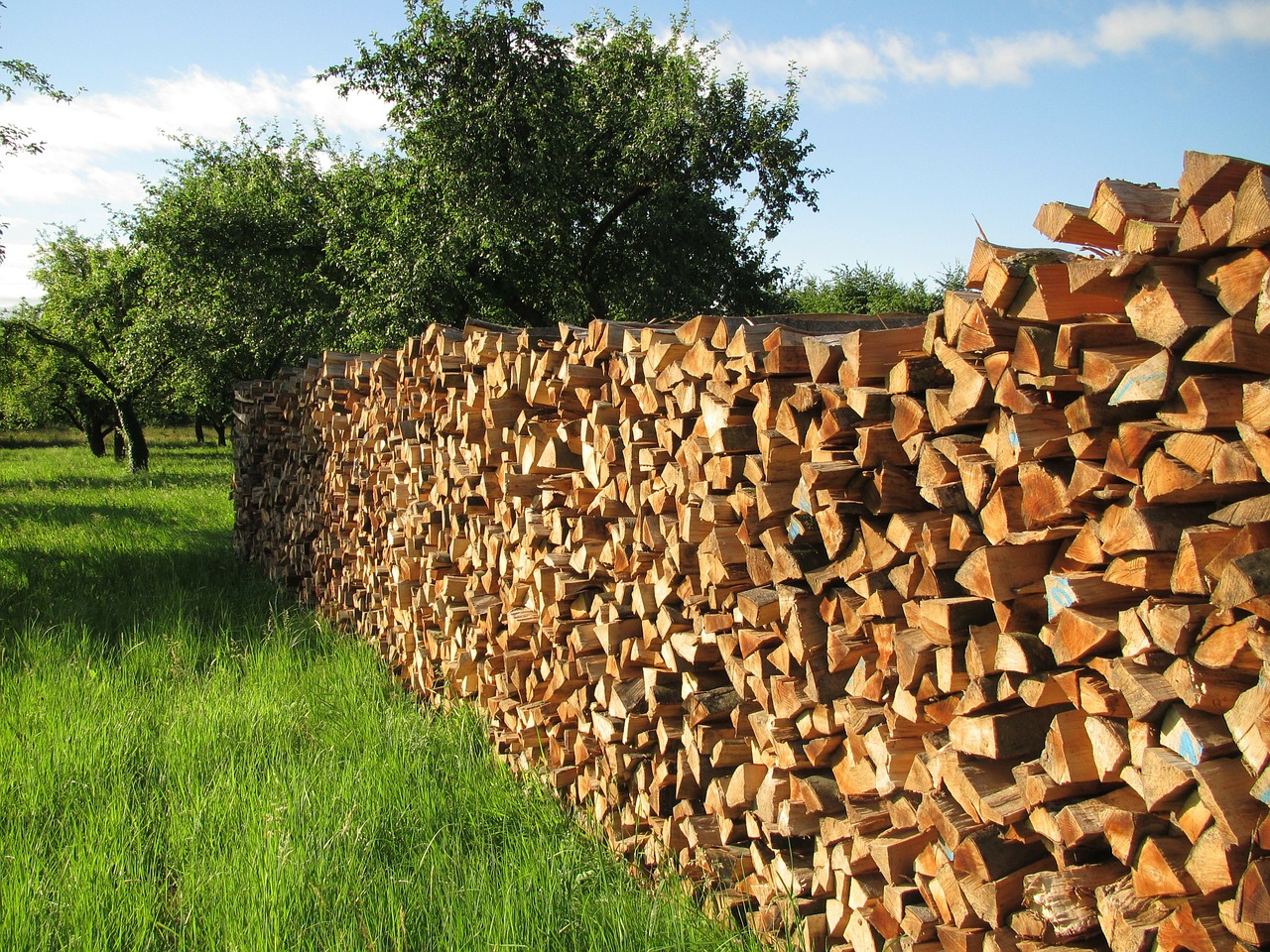 Energy from Biomass: Prospects and Challenges
