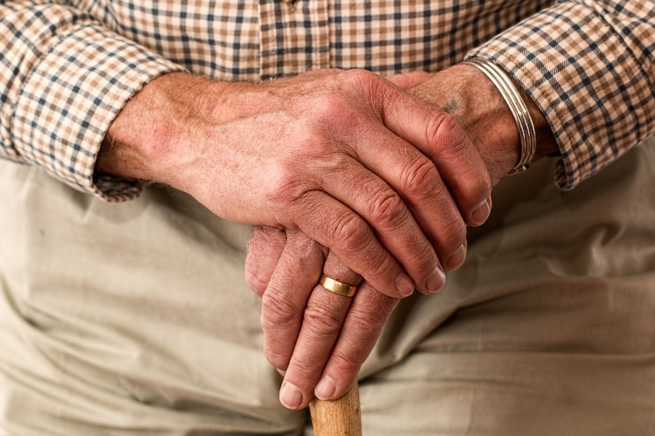 The Immune System in Parkinson’s Disease: A Possible Target for Treatment