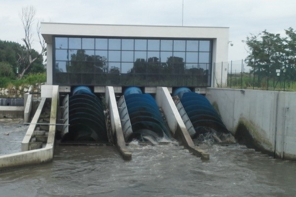 Hydrodynamic Screws: From Archimedes to Electricity