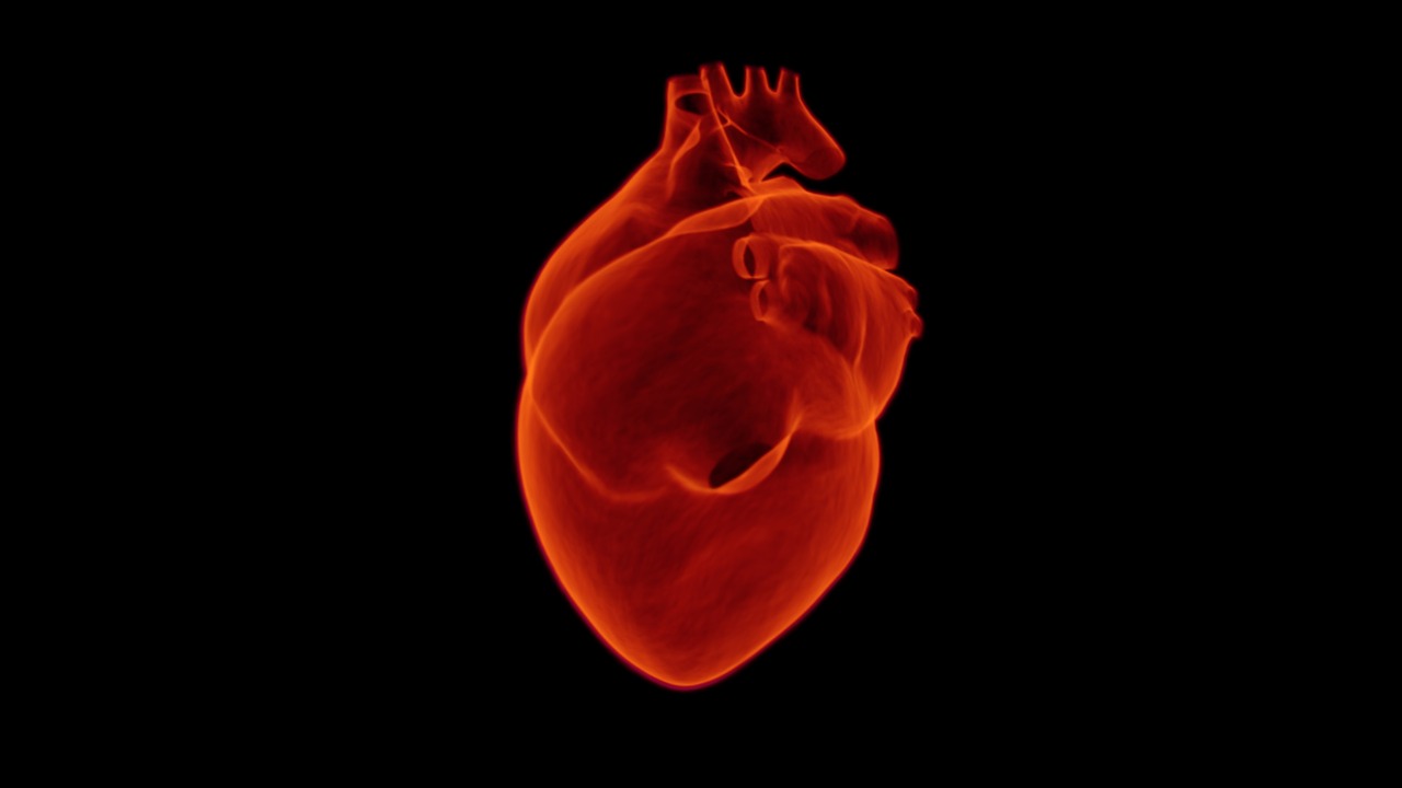 How Robotic Sleeves Can Restore Heart Function After Cardiac Arrest