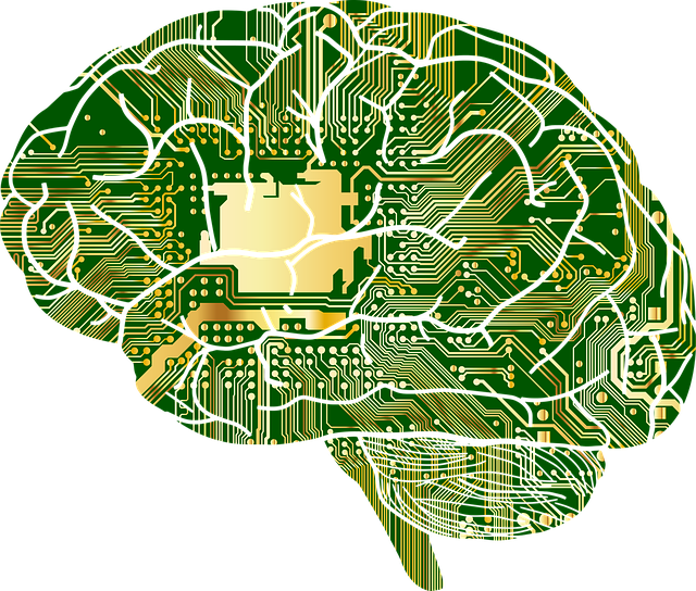 Blood-Brain Barrier on a Chip