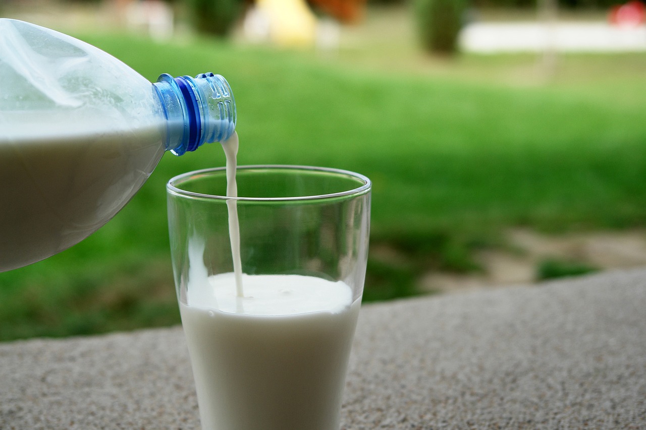 Should Dairy be Incorporated into Mediterranean Diets?