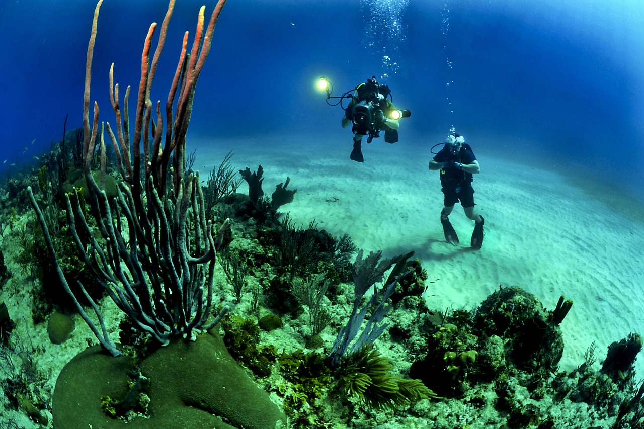Beyond IoT: Internet of Underwater Things to Network the Oceans