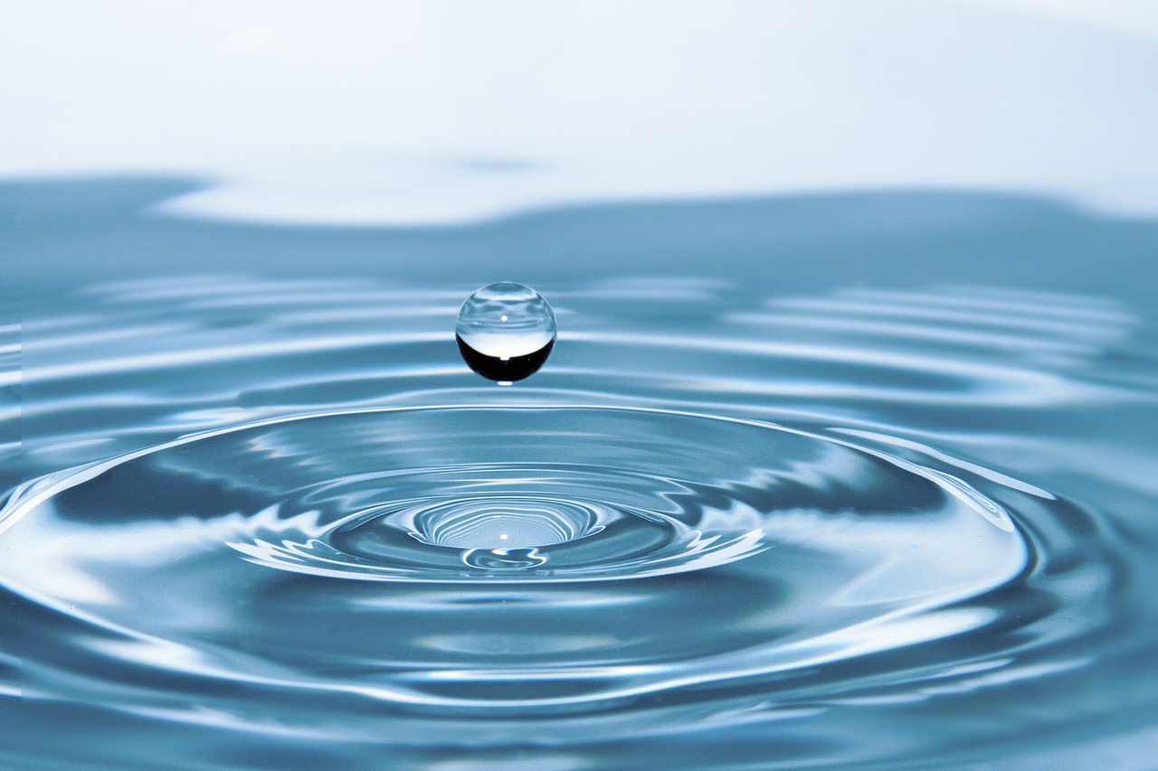 What bioinspired materials can be used to address water purification?
