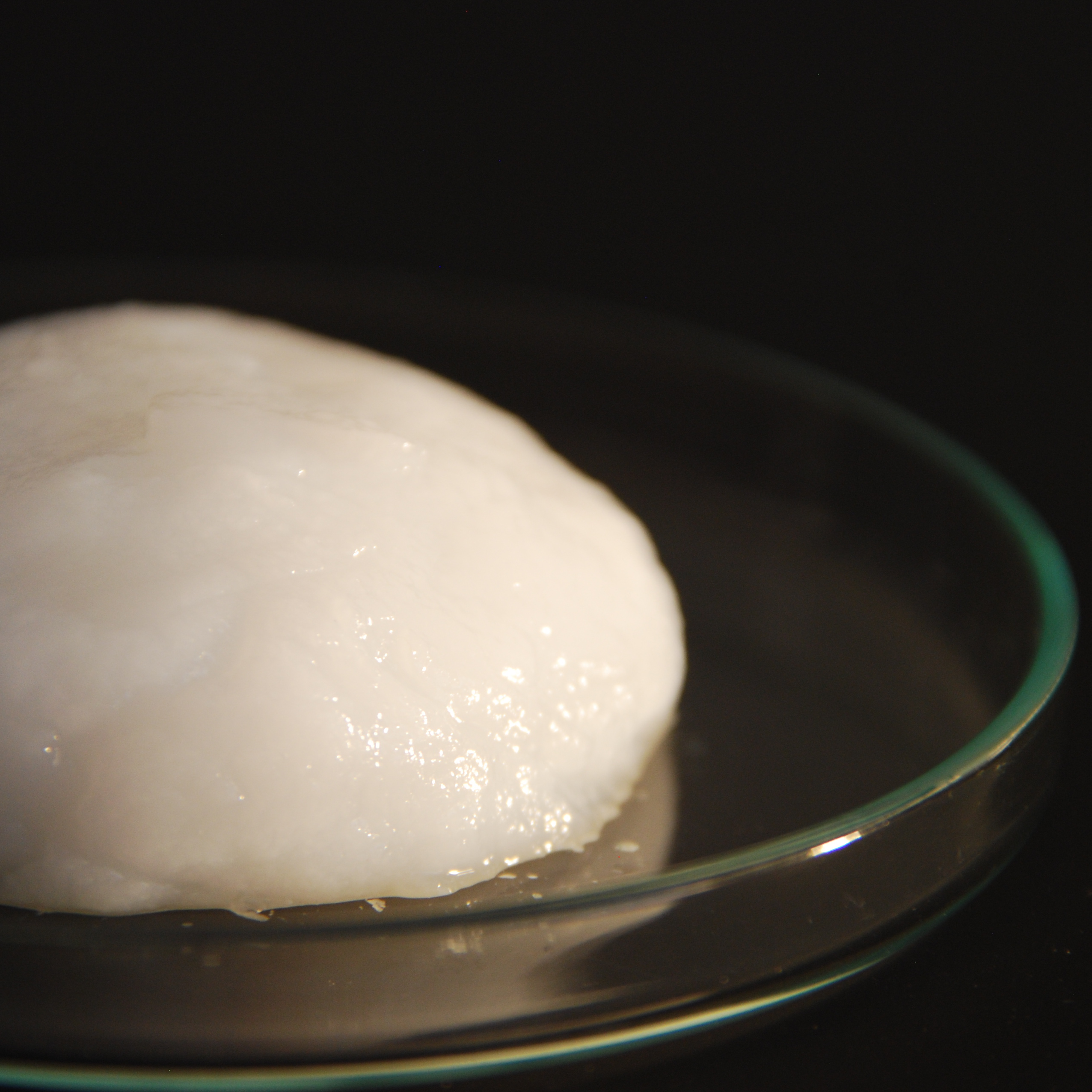 Microfibrillated cellulose: A new material with high potential in the packaging industry