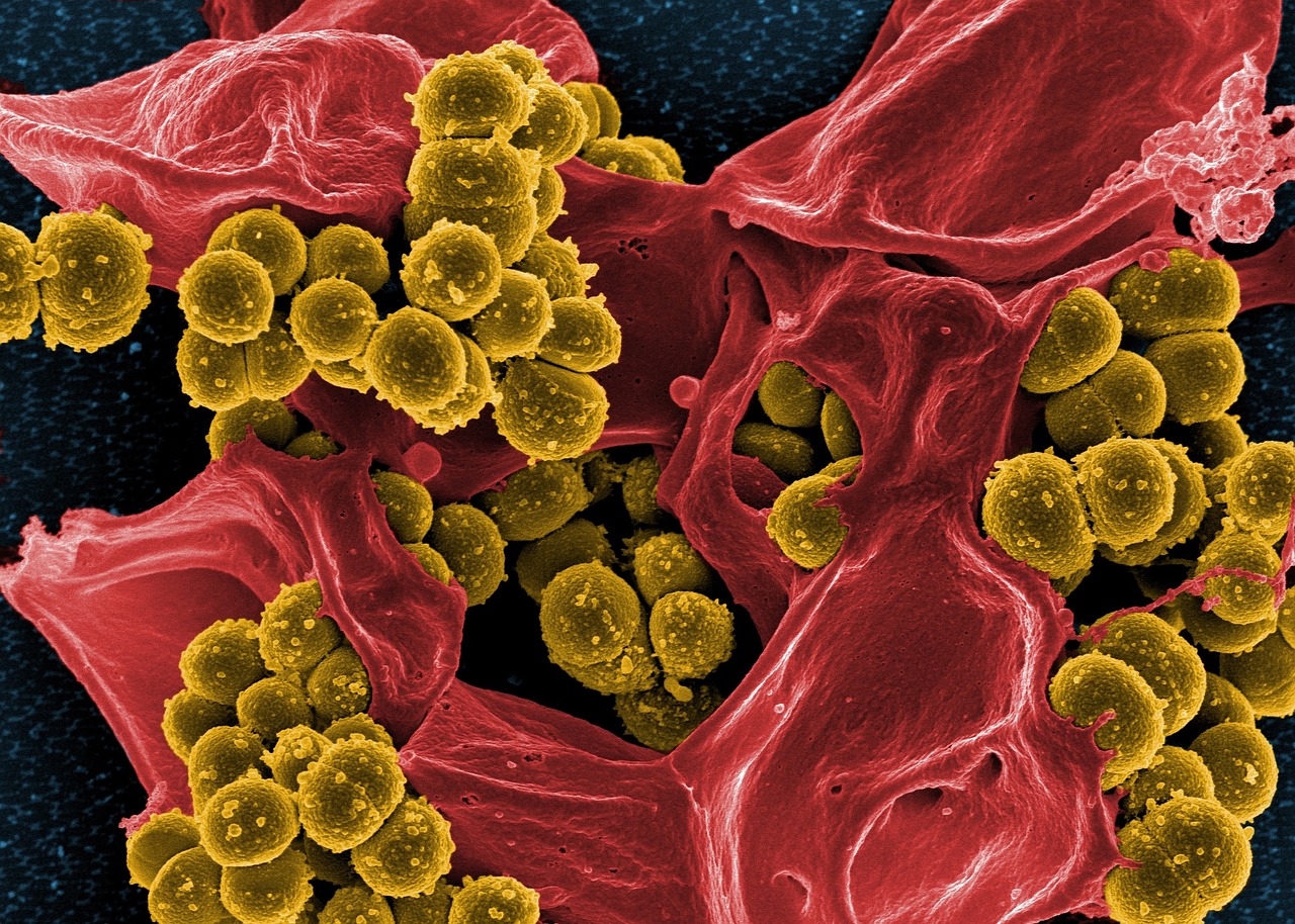 Will this be the next generation of antimicrobials?