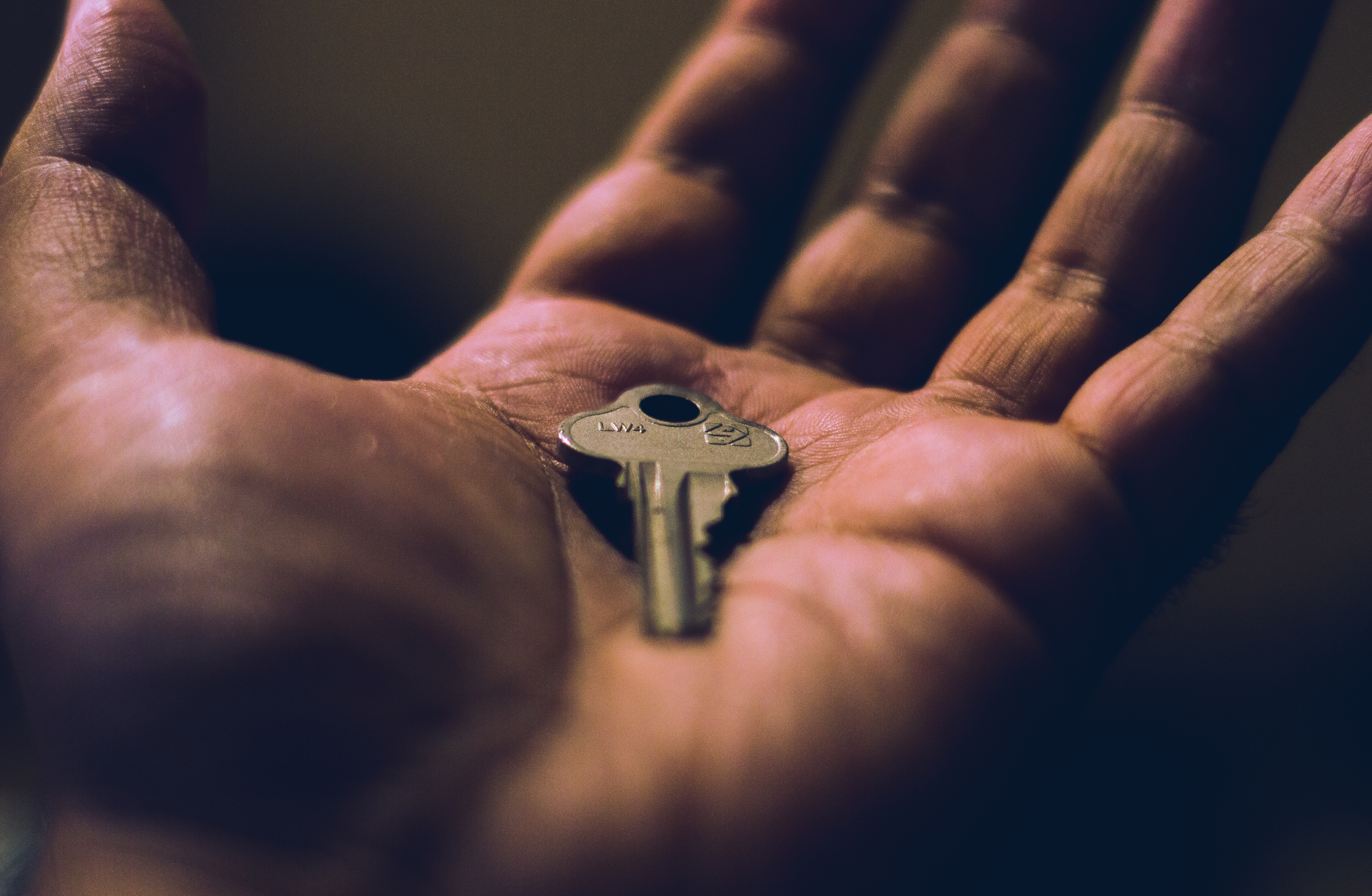 Are scientists closer to unraveling the code of aging?