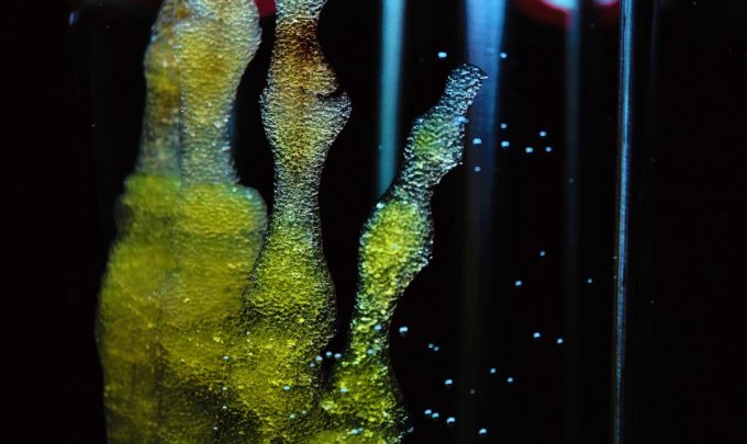 The latest in biomimicry and hydrogel innovations