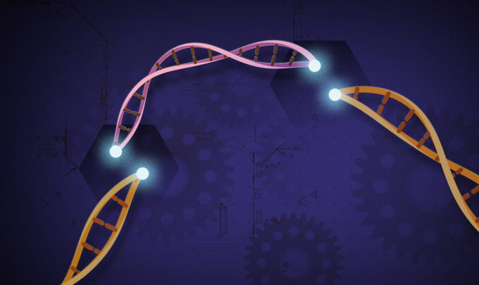 Top CRISPR breakthroughs in 2019
