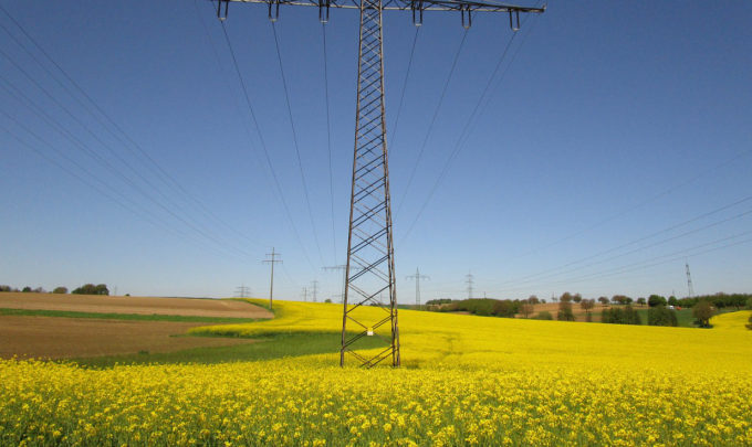 Can biofuels serve as a potential alternative energy source?