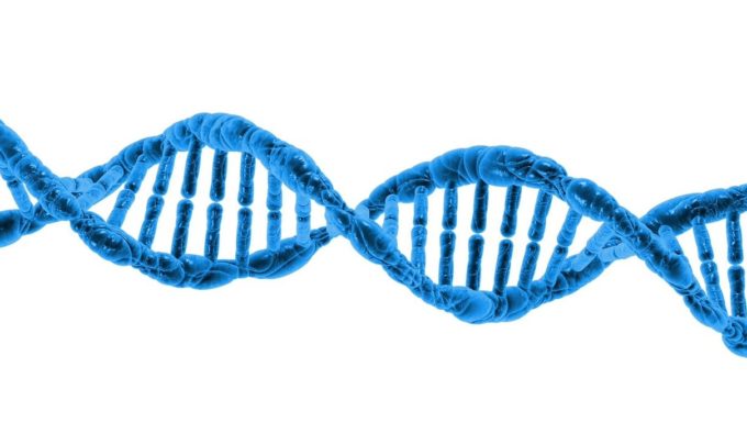 A CRISPR Chat