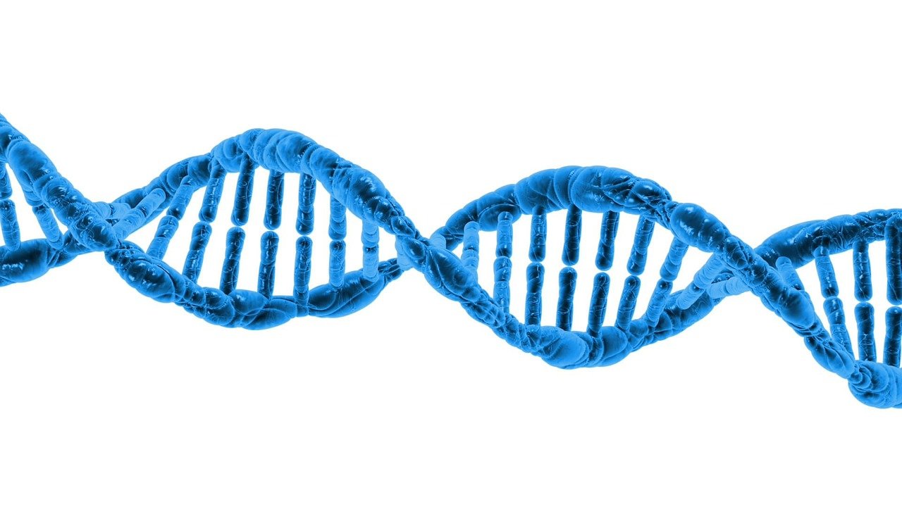 A CRISPR Chat