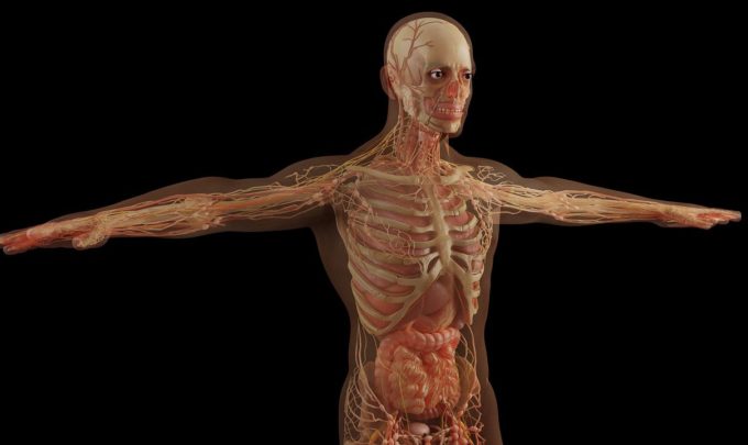 3D Printing in Healthcare