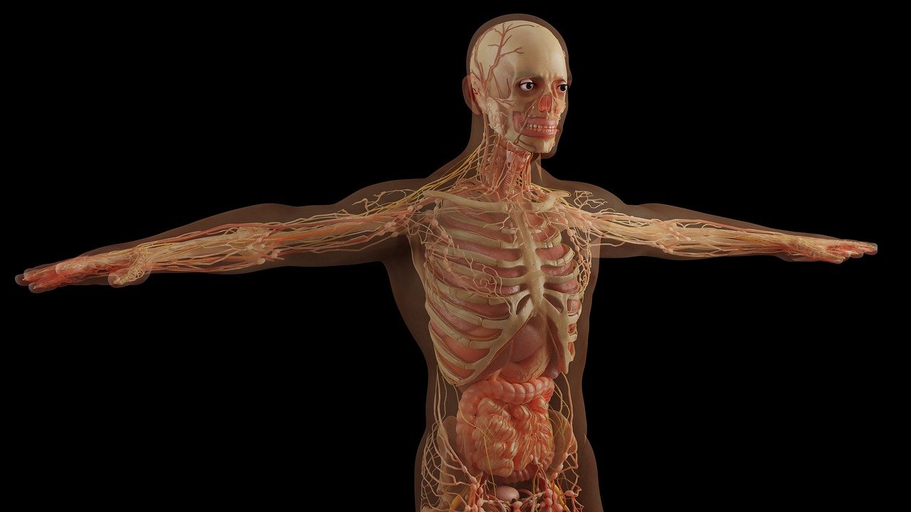 3D Printing in Healthcare