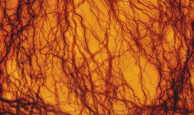 Regenerative Medicine