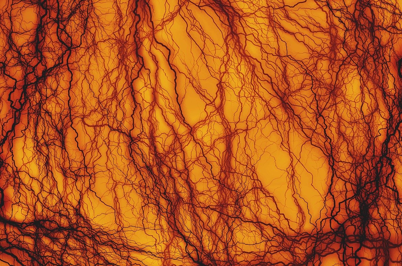 Regenerative Medicine