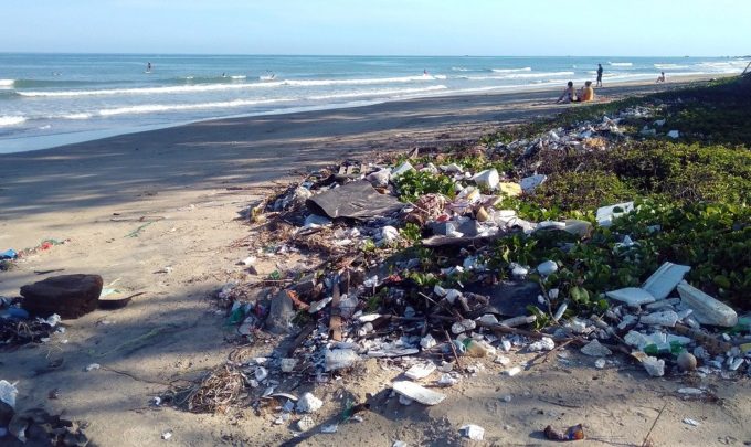 The Single-Use Plastic Directive and its impact on the use of bioplastics in the CPG and F&B industries