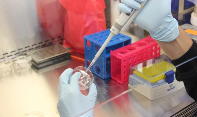 Synthetic Biology
