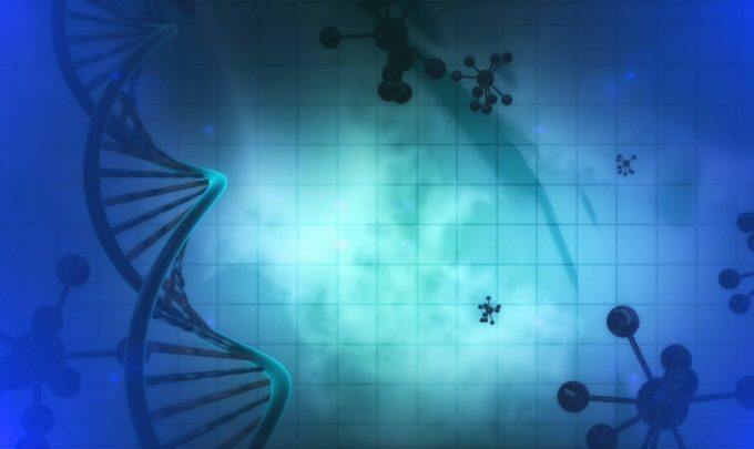 Epigenetics
