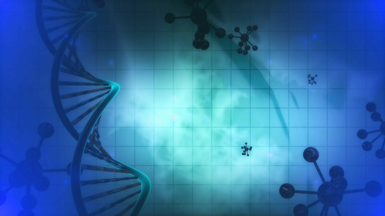 Epigenetics