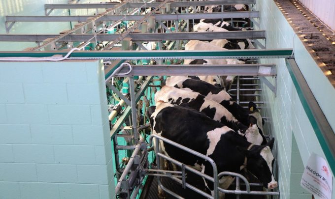 Landscape of biofilm prevention surface modifications for milking machines