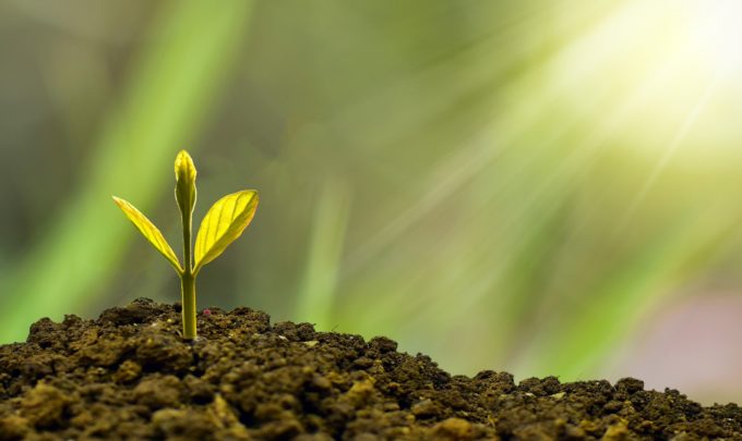 Landscape of products leveraging plant-based protein blends for waste stream upcycling