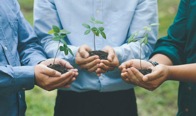 Sustainable Business Practices in a Profit-Driven World